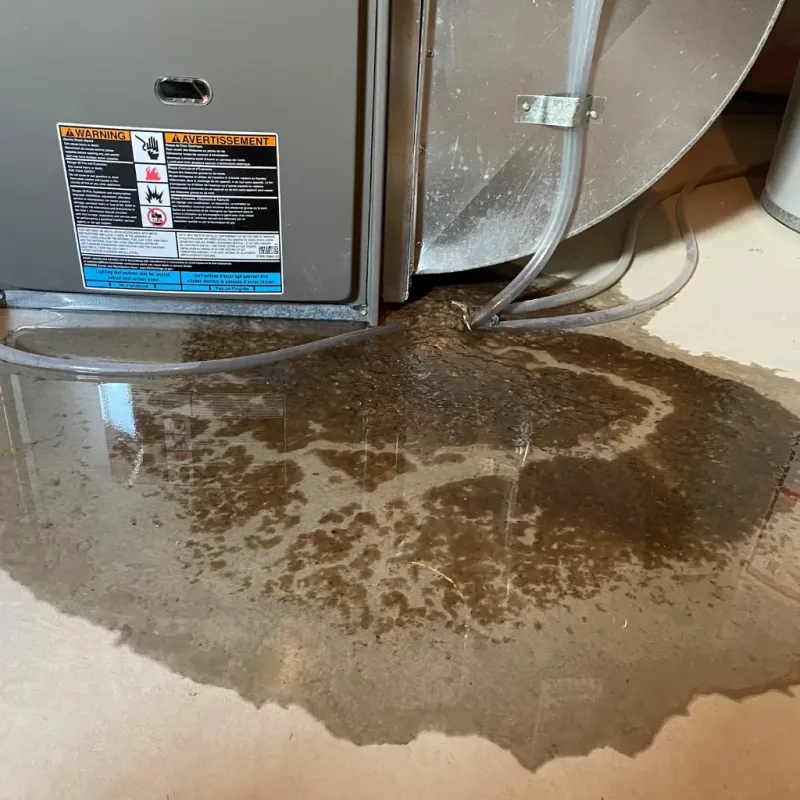 Appliance Leak Cleanup in Myrtle Beach, SC